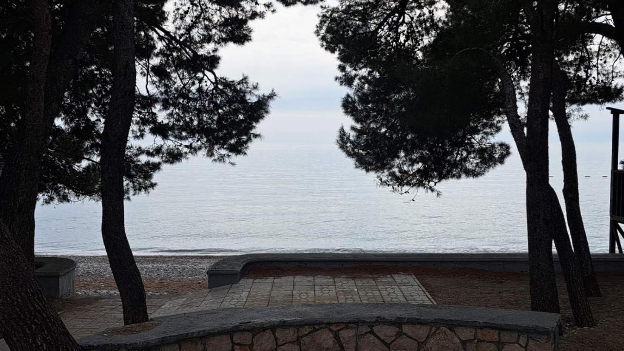 Apartman David - 65M² I Apartman Filip - 55M² 巴尔 外观 照片